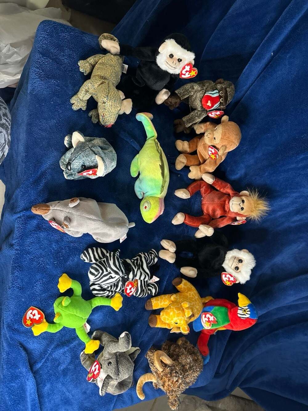 Lot of 13 Vintage Ty Beanie Babies Safari Zoo Animals including Jabber, Twigs, Z